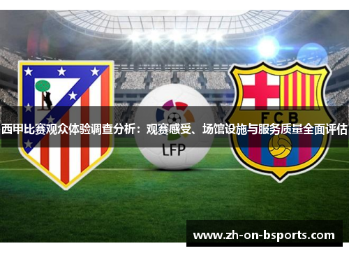 西甲比赛观众体验调查分析：观赛感受、场馆设施与服务质量全面评估
