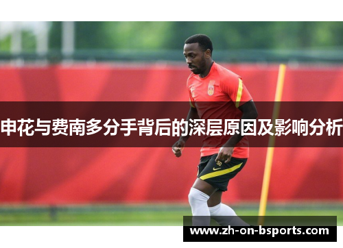 申花与费南多分手背后的深层原因及影响分析