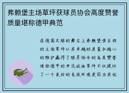 弗赖堡主场草坪获球员协会高度赞誉质量堪称德甲典范