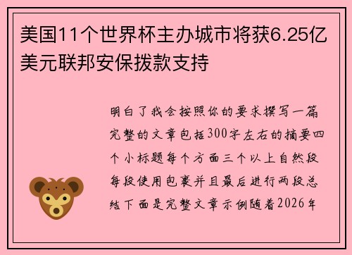 美国11个世界杯主办城市将获6.25亿美元联邦安保拨款支持 美国11个世界杯主办城市将获6.25亿美元联邦安保拨款支持