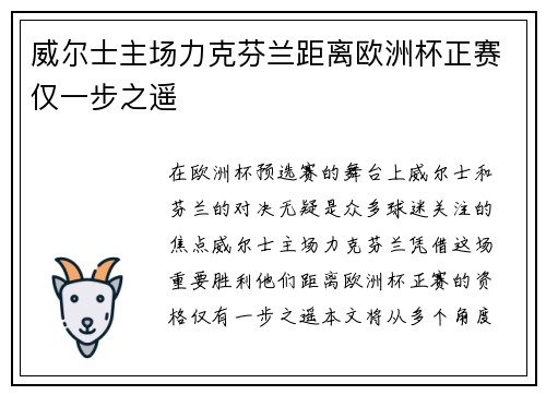 威尔士主场力克芬兰距离欧洲杯正赛仅一步之遥 威尔士主场力克芬兰距离欧洲杯正赛仅一步之遥